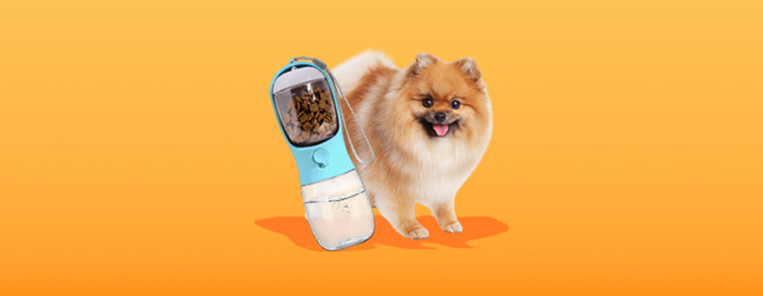 Pet Care