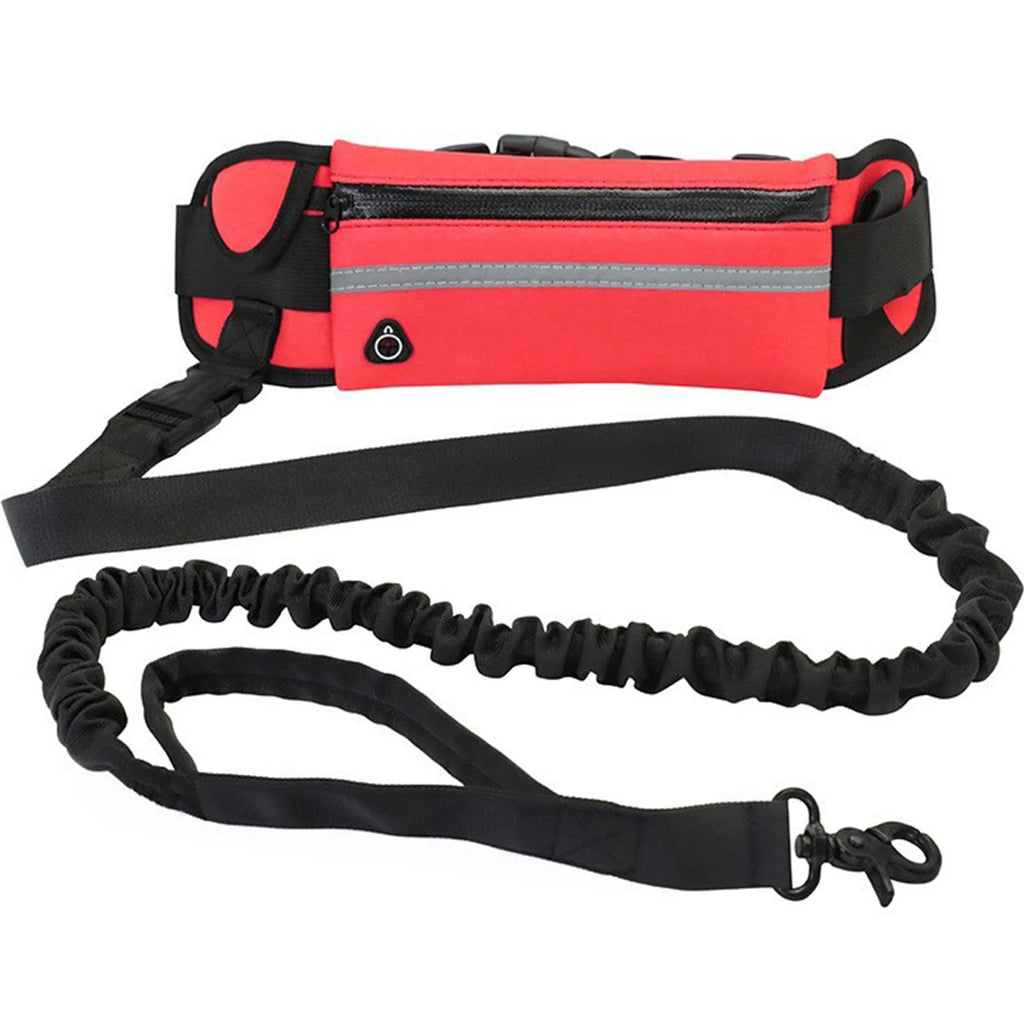 Hands Free Dog Leash – Running Leash for Walking, Jogging & Hiking with Dogs