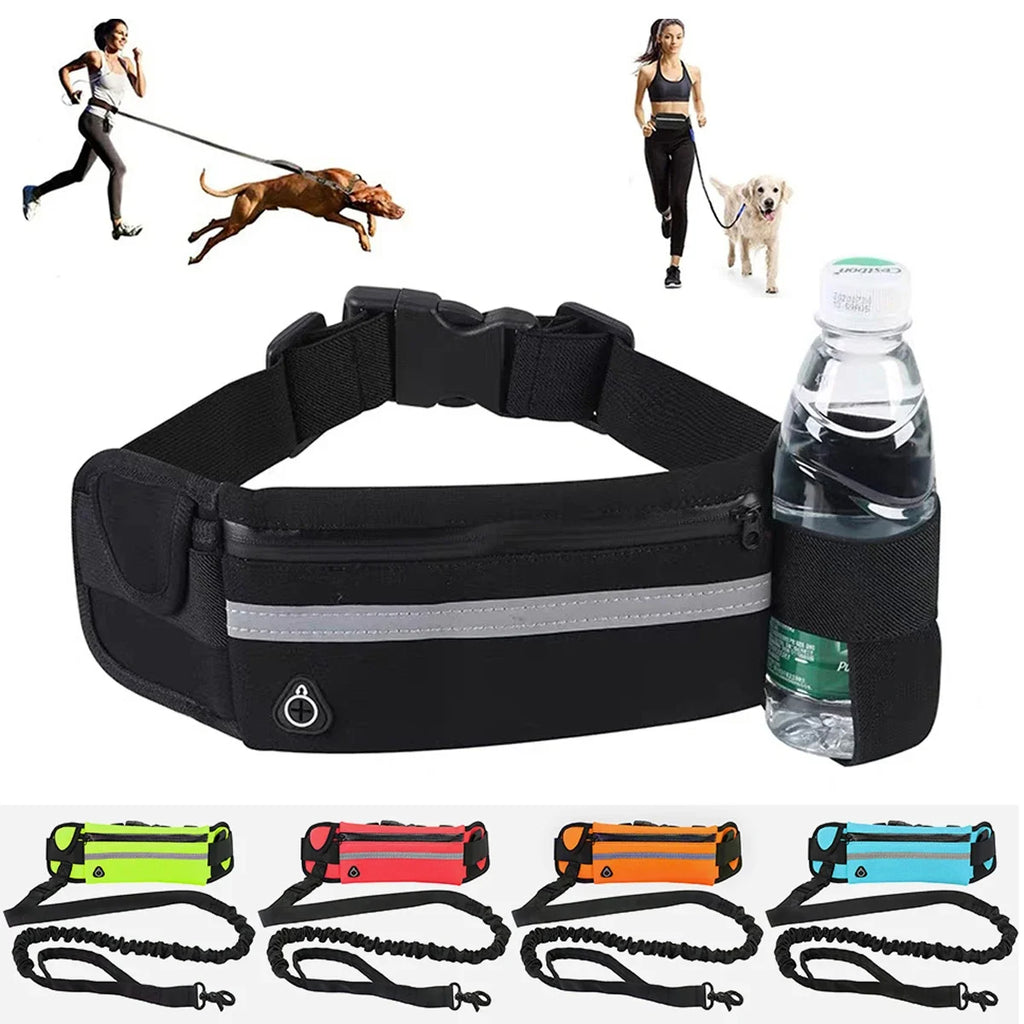 Hands Free Dog Leash – Running Leash for Walking, Jogging & Hiking with Dogs