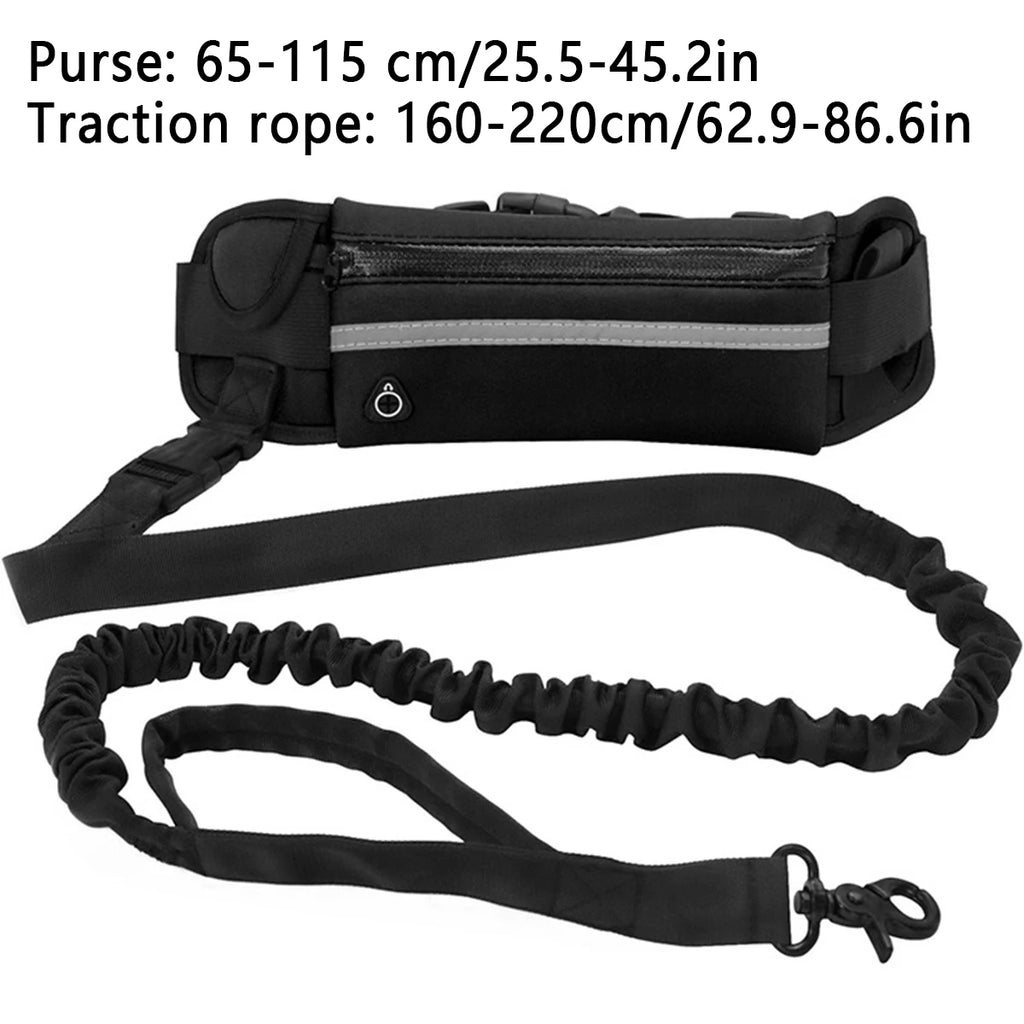 Hands Free Dog Leash – Running Leash for Walking, Jogging & Hiking with Dogs