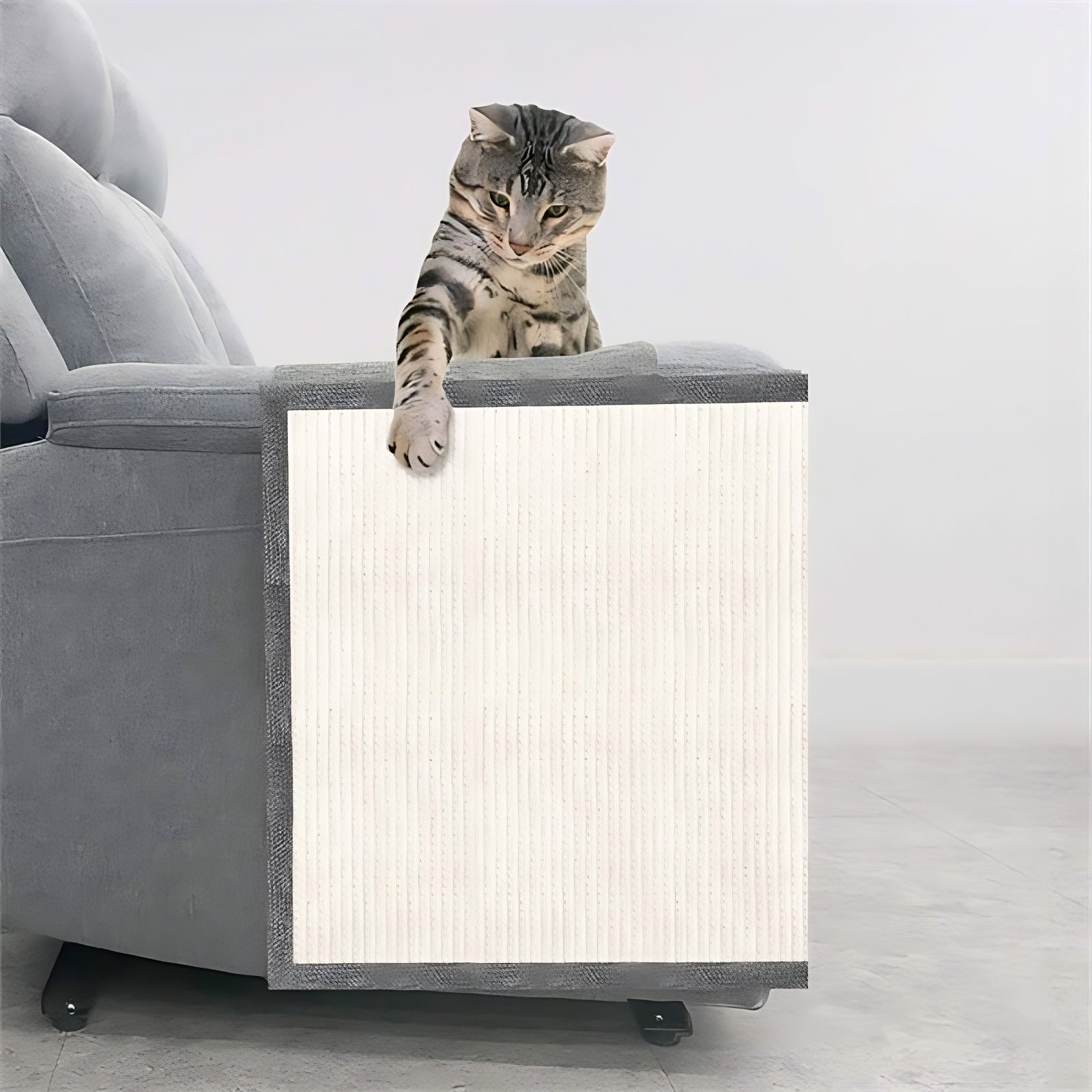 Cat Scratch Sofa Protector – Anti Scratch Cover for Couch & Furniture Safety