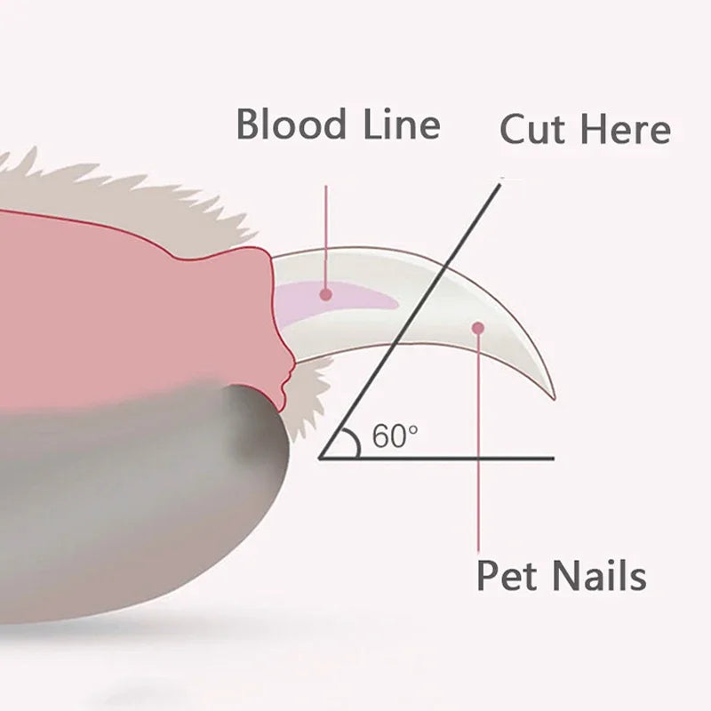 Pet Nail Clipper with Led Light – Precision Grooming Tool for Safe & Stress-Free Pet Nail Trimming