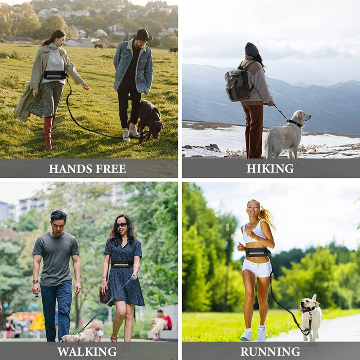 Hands Free Dog Leash – Running Leash for Walking, Jogging & Hiking with Dogs